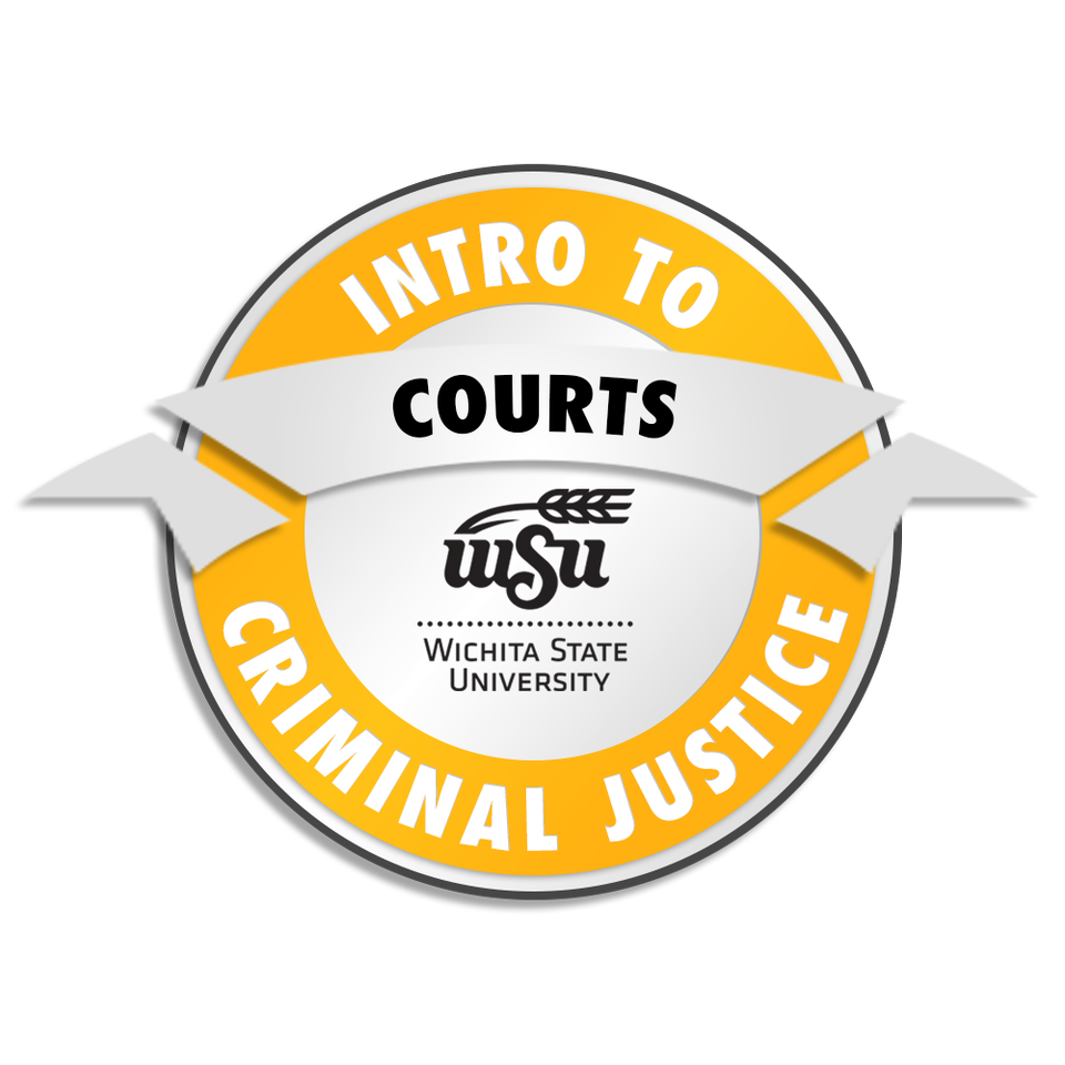 Intro to Criminal Justice Courts badge