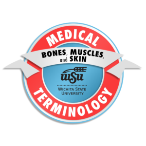 3_Medical Terminology_Bones, Muscles, and Skin_preview
