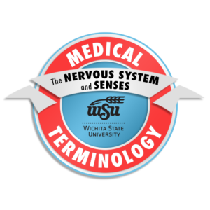 5_Medical Terminology_The Nervous System and Senses