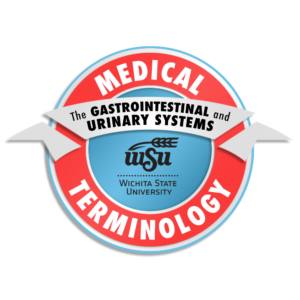 6_Medical Terminology_The Gastrointestinal and Urinary Systems
