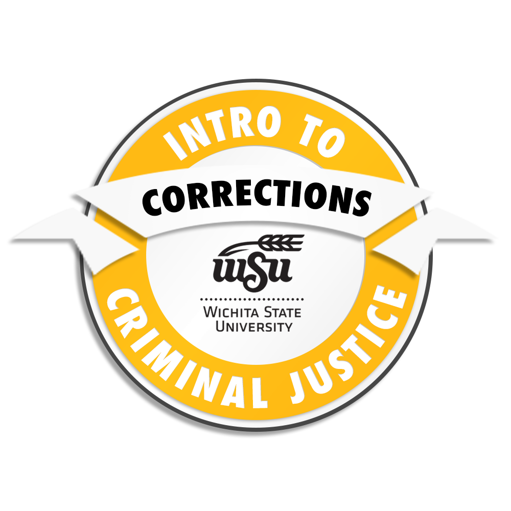 CRIMINAL JUSTICE_intro-Corrections