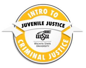 CRIMINAL JUSTICE_intro-JuvenileJustice